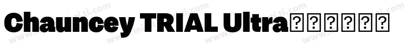 Chauncey TRIAL Ultra字体转换